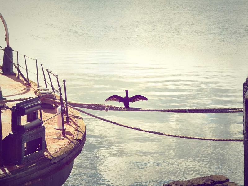 Curated watch · hero shot